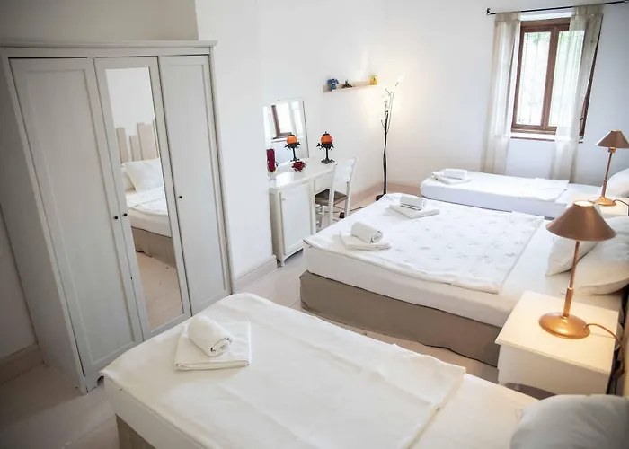 酒店 Hazz 阿拉恰特